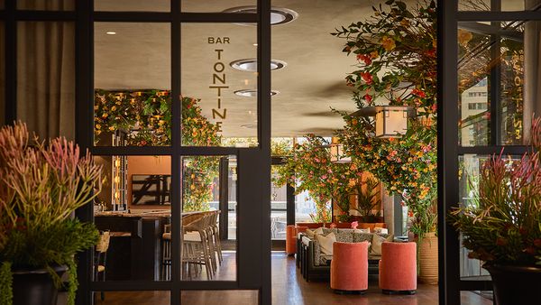 Bar Tontine by null