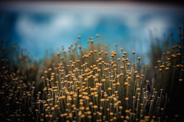 Bastide Saint-Didier by null