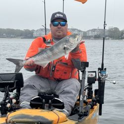 Yakkity Yaks Kayak Rentals - Want to catch Bluefish? We've got you covered!