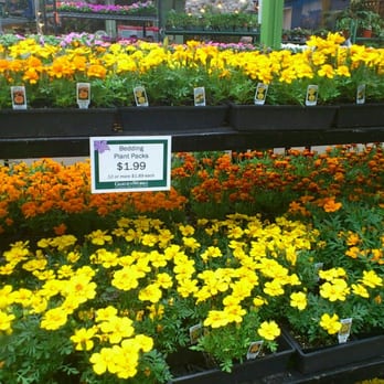 GardenWorks - Nurseries & Gardening Near Me - Burnaby, British Columbia
