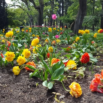 Beacon Hill Park - Parks Near Me - Victoria, British Columbia