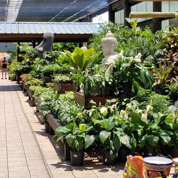 Flamingo Road Nursery - Nurseries & Gardening Near Me - Davie, Florida