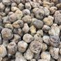 Photo of Hop Hing Ginseng Company