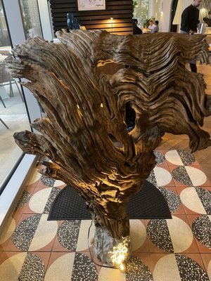 Peregrine Raleigh by null