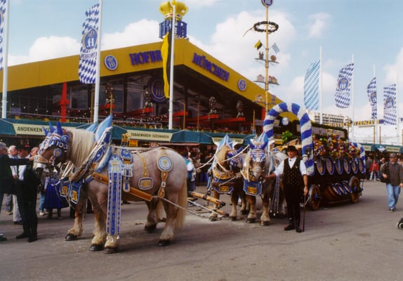 Hofbräu Festzelt by null