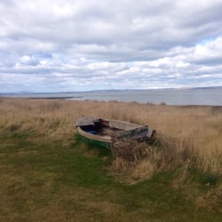 Aberlady Bay Local Nature Reserve - I love it here #aberlady