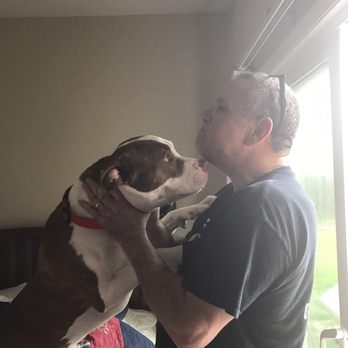 Pennington & Sons Glass - Les was so great with my dog!! - Windows Installation Near Me - Sacramento, California