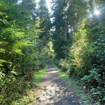 Astoria Column - Cathedral tree trail - Landmarks & Historical Buildings Near Me - Astoria, Oregon