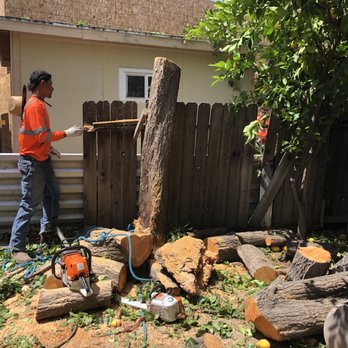 FB Tree Services - Tree Services Near Me - North Highlands, California FB Tree Services - Tree Services Near Me - North Highlands, California