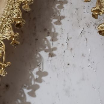C & C Apartment Management - Black mold & Asbestos - Property Management Near Me - New York, New York