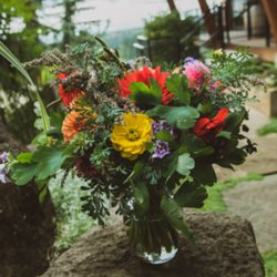 Pollinate Flowers
