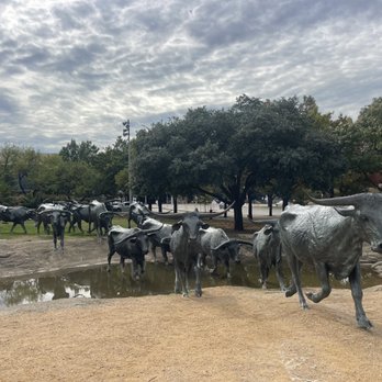 Pioneer Plaza Cattle Drive - Local Flavor Near Me - Dallas, Texas Pioneer Plaza Cattle Drive - Local Flavor Near Me - Dallas, Texas