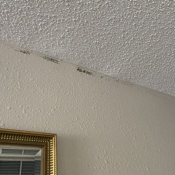 Emerald Beach Hotel - More mold on the wall of our room - Hotels Near Me - Corpus Christi, Texas