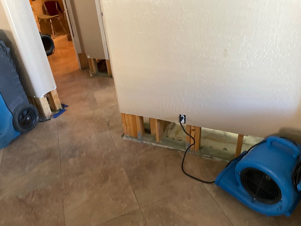 Torrent Restoration - mold inspector in Queen Creek, AZ