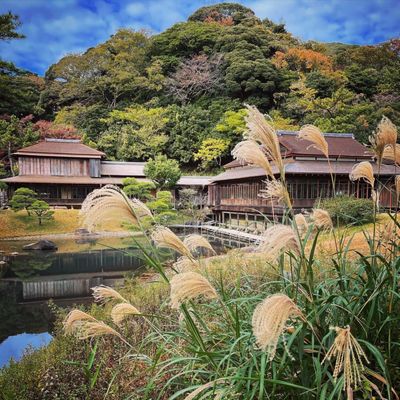 Sankeien Garden by null