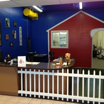 DogDash Mobile Grooming - Pet Groomers Near Me DogDash Mobile Grooming - Pet Groomers Near Me