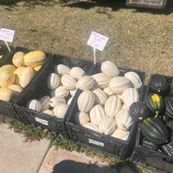 Watertown Saturday Farmers Market