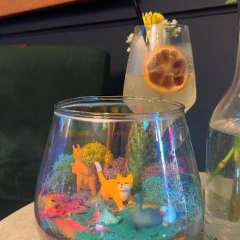 GROW Plant Bar - Our terrarium creation! - Nurseries & Gardening Near Me - Wichita, Kansas GROW Plant Bar - Our terrarium creation! - Nurseries & Gardening Near Me - Wichita, Kansas