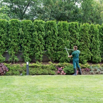 Precision Tree Service - Tree Services Near Me - Westville, New Jersey Precision Tree Service - Tree Services Near Me - Westville, New Jersey