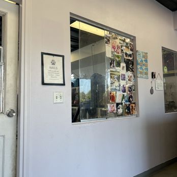 Marina Pet Spa - Pet Groomers Near Me - Marina Del Rey, California Marina Pet Spa - Pet Groomers Near Me - Marina Del Rey, California