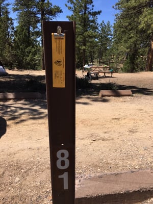 North Campground by null