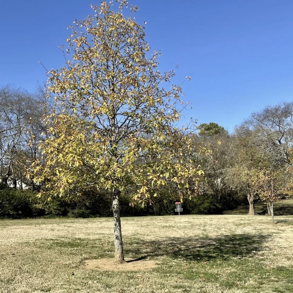 Green Hills Park - Parks Near Me - Nashville, Tennessee Green Hills Park - Parks Near Me - Nashville, Tennessee
