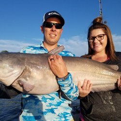 Capital Catfishing