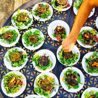 Colectivo Felix by null