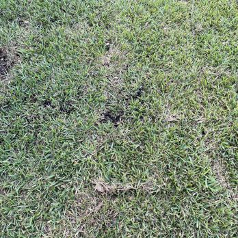 Abel Landscaping - Landscaping Near Me - Bradenton, Florida