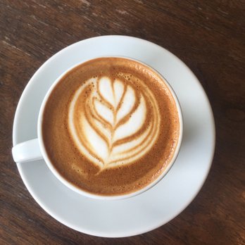 Buddy Brew - Hyde Park - Coffee Roasteries Near Me - Tampa, Florida Buddy Brew - Hyde Park - Coffee Roasteries Near Me - Tampa, Florida