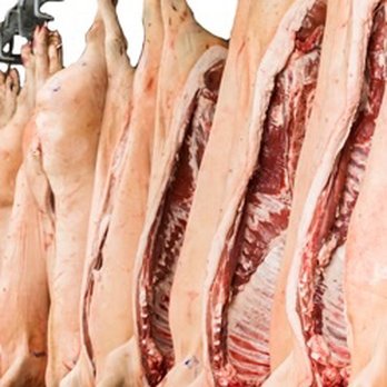 offf line - Irish - Butcher Near Me - Fermoy, Colorado offf line - Irish - Butcher Near Me - Fermoy, Colorado