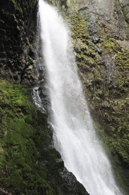 Bike the Gorge by null