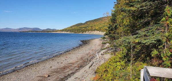 Miguasha National Park by null