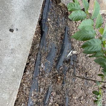 RPM Living - My crappy yard - Property Management Near Me - Austin, Texas RPM Living - My crappy yard - Property Management Near Me - Austin, Texas