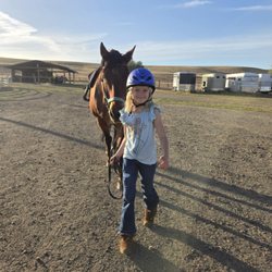 KF Equine