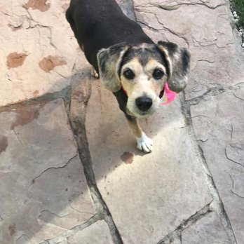 Postmore Kennels - Pet Groomers Near Me - Novato, California