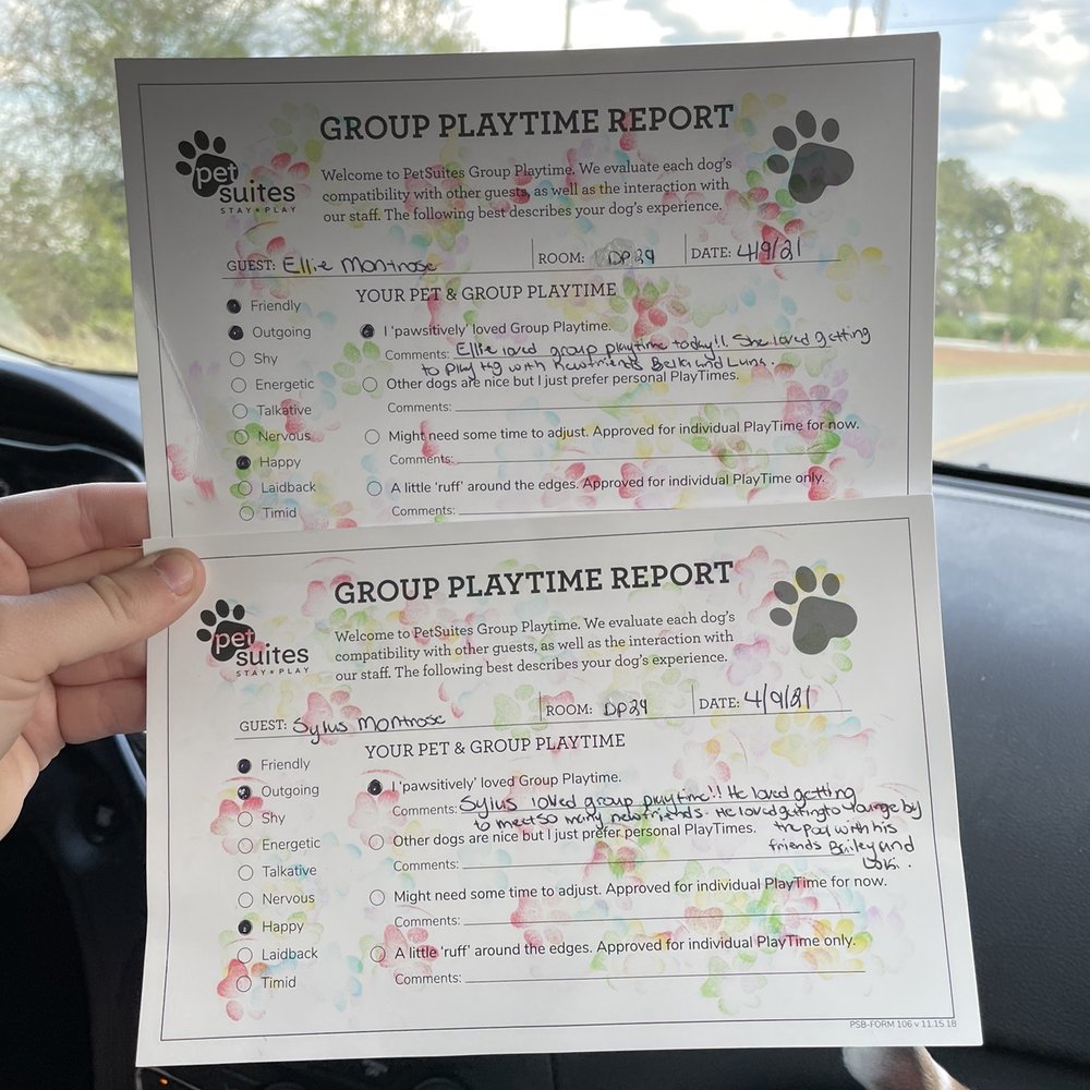PetSuites Murfreesboro - Report cards - Pet Training Near Me - Murfreesboro, Tennessee PetSuites Murfreesboro - Report cards - Pet Training Near Me - Murfreesboro, Tennessee
