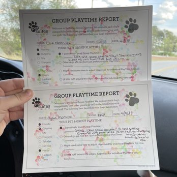 PetSuites Murfreesboro - Report cards - Pet Training Near Me - Murfreesboro, Tennessee PetSuites Murfreesboro - Report cards - Pet Training Near Me - Murfreesboro, Tennessee