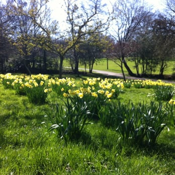 Golders Hill Park - Parks Near Me - London, XGL Golders Hill Park - Parks Near Me - London, XGL
