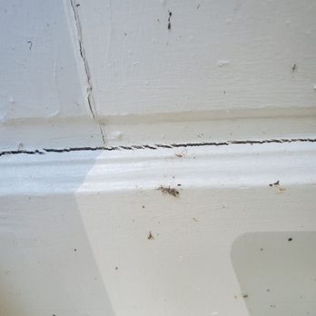Gonzalez Painting - No caulking - Painters Near Me Gonzalez Painting - No caulking - Painters Near Me