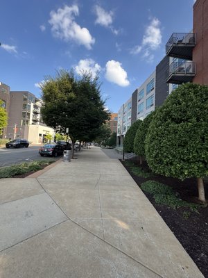 The Gulch by null