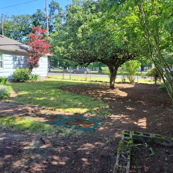 Luis Bravo Landcare - Backyard after - Pressure Washers Near Me Luis Bravo Landcare - Backyard after - Pressure Washers Near Me