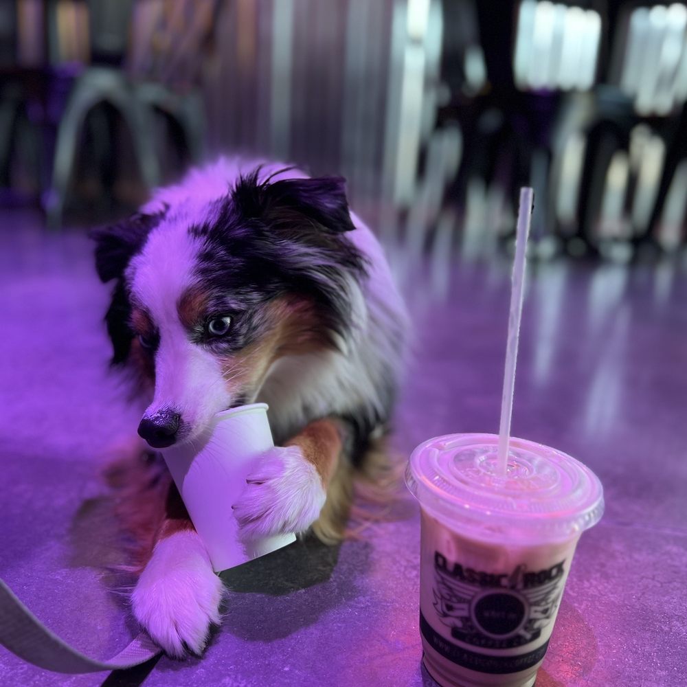Classic Rock Coffee - Chai Latte & Pup Cup - Coffee & Tea Near Me - San Antonio, Texas
