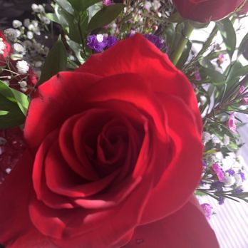Rachel's Flower Shop - Half Dozen Roses - Florists Near Me - Memphis, Tennessee