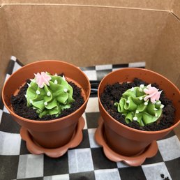 Nutella chocolate succulents.  $2.50.  I made their day!