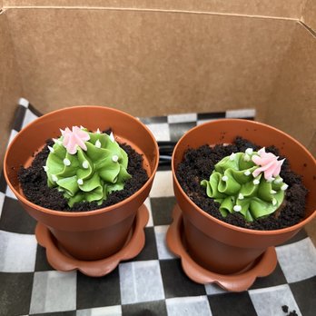 Merritt’s Bakery - Nutella chocolate succulents.  $2.50.  I made their day! - Bakeries Near Me - Tulsa, Oklahoma