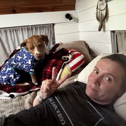 Companion Animal Hospital - Recovering pet