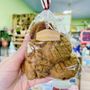 Photo of Butterfly Cookies