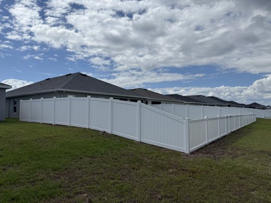 Top 10 Best Plants in Florida for Privacy: Ultimate Green Screen Choices