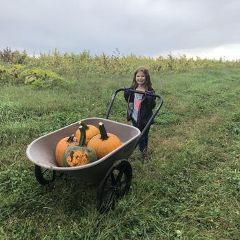 Pumpkins Etc. - Personal wheel barrel - Pumpkin Patches Near Me - Platte City, Missouri Pumpkins Etc. - Personal wheel barrel - Pumpkin Patches Near Me - Platte City, Missouri